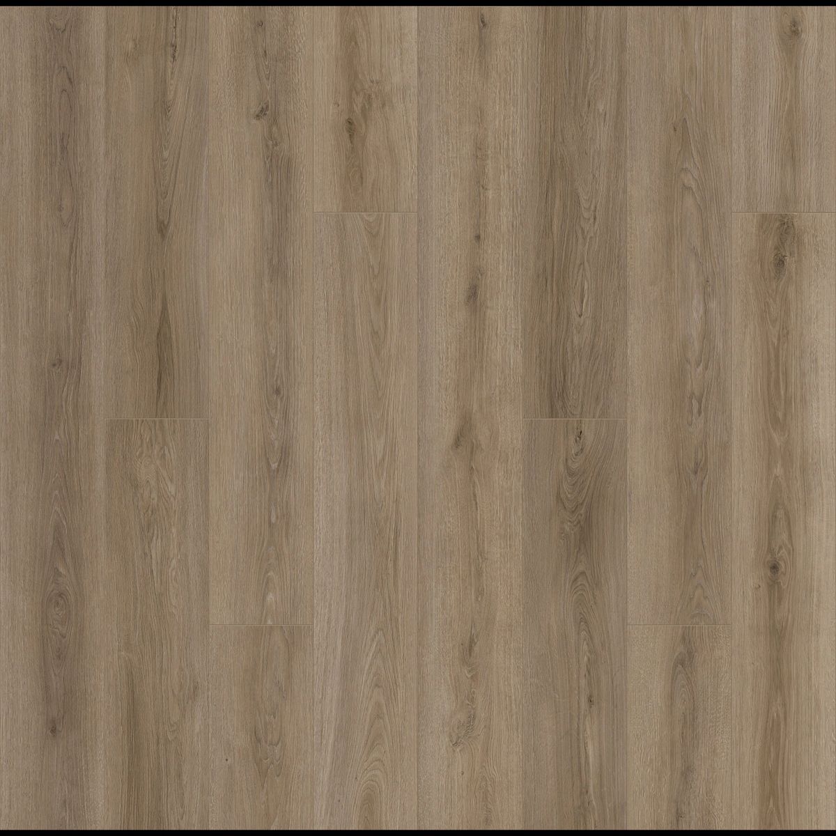 Academy Award swatch