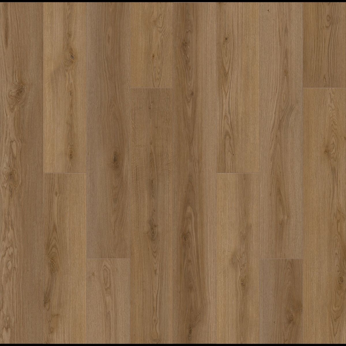 Michelin Award swatch