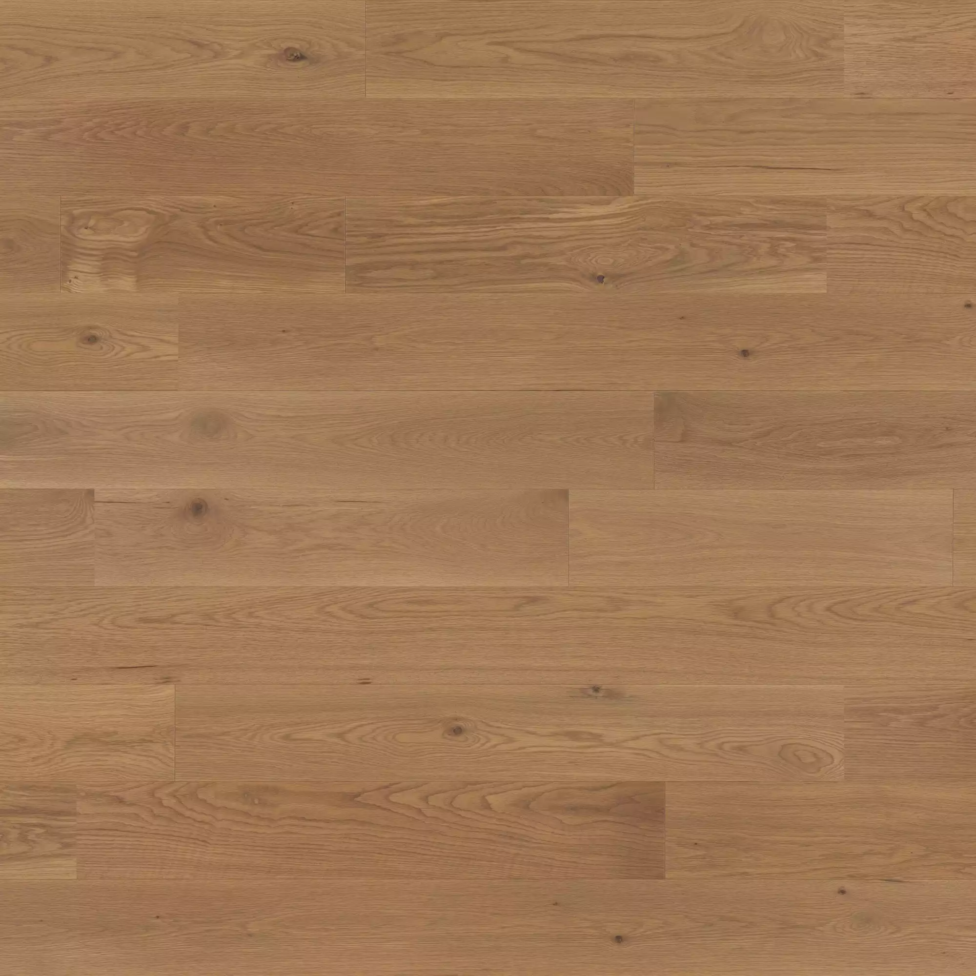 Mirage Muse White Oak Amelia - Character