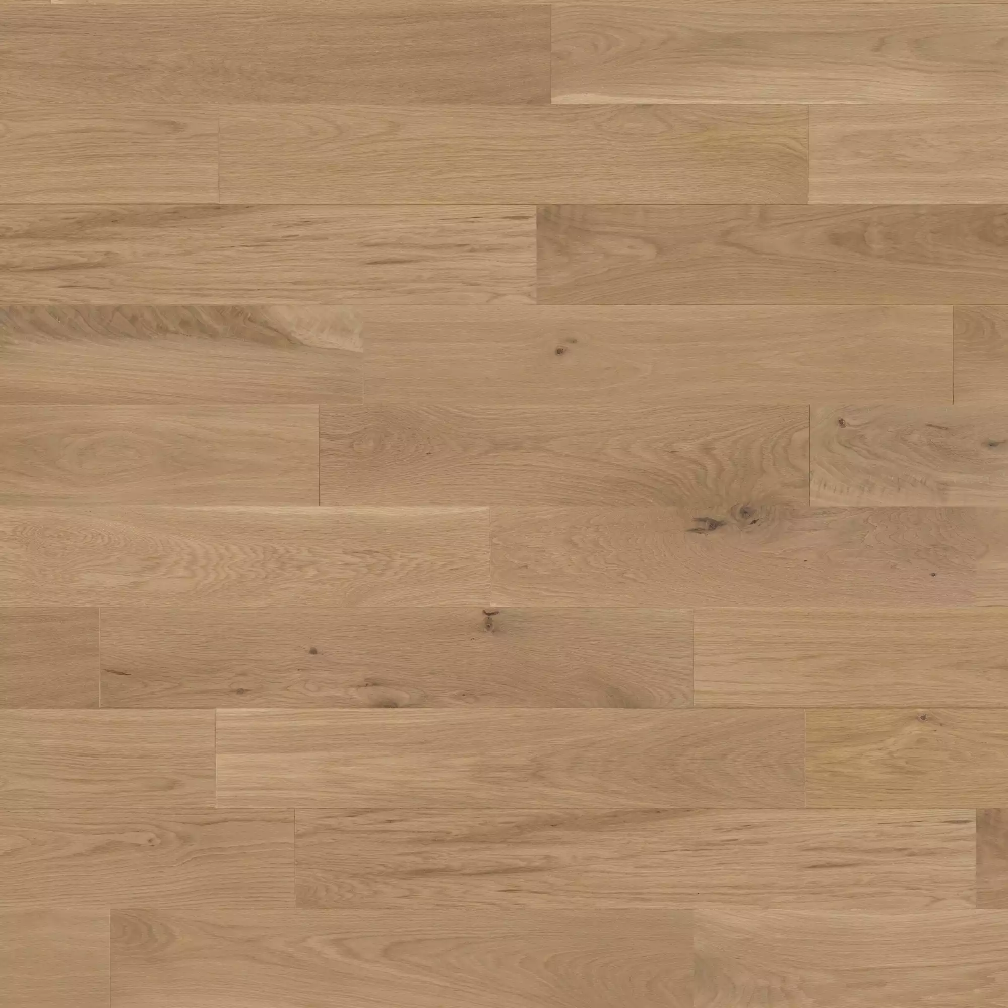 Mirage Muse White Oak Eleanor - Character