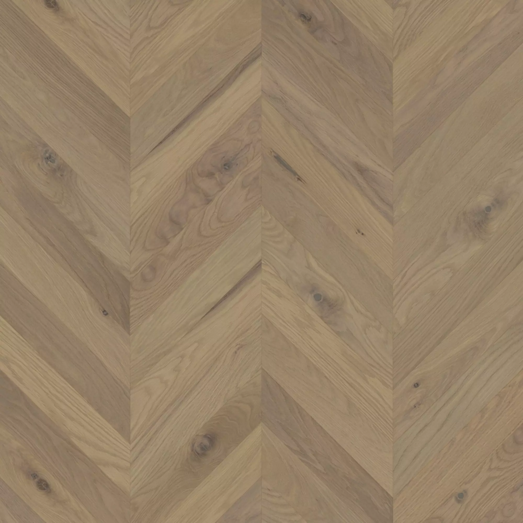 Mirage Muse White Oak Maud - Chevron Character