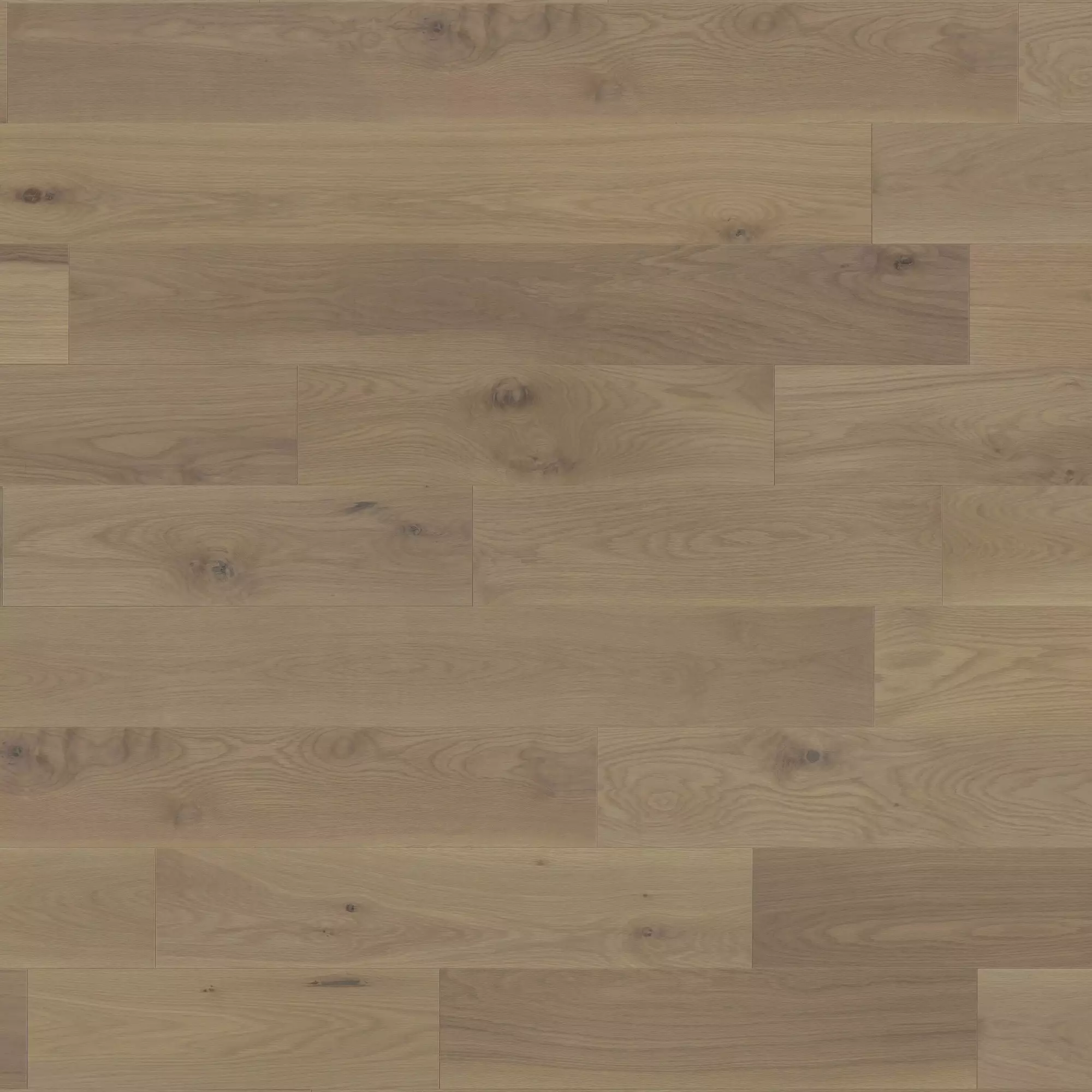 Mirage Muse White Oak Maud - Character