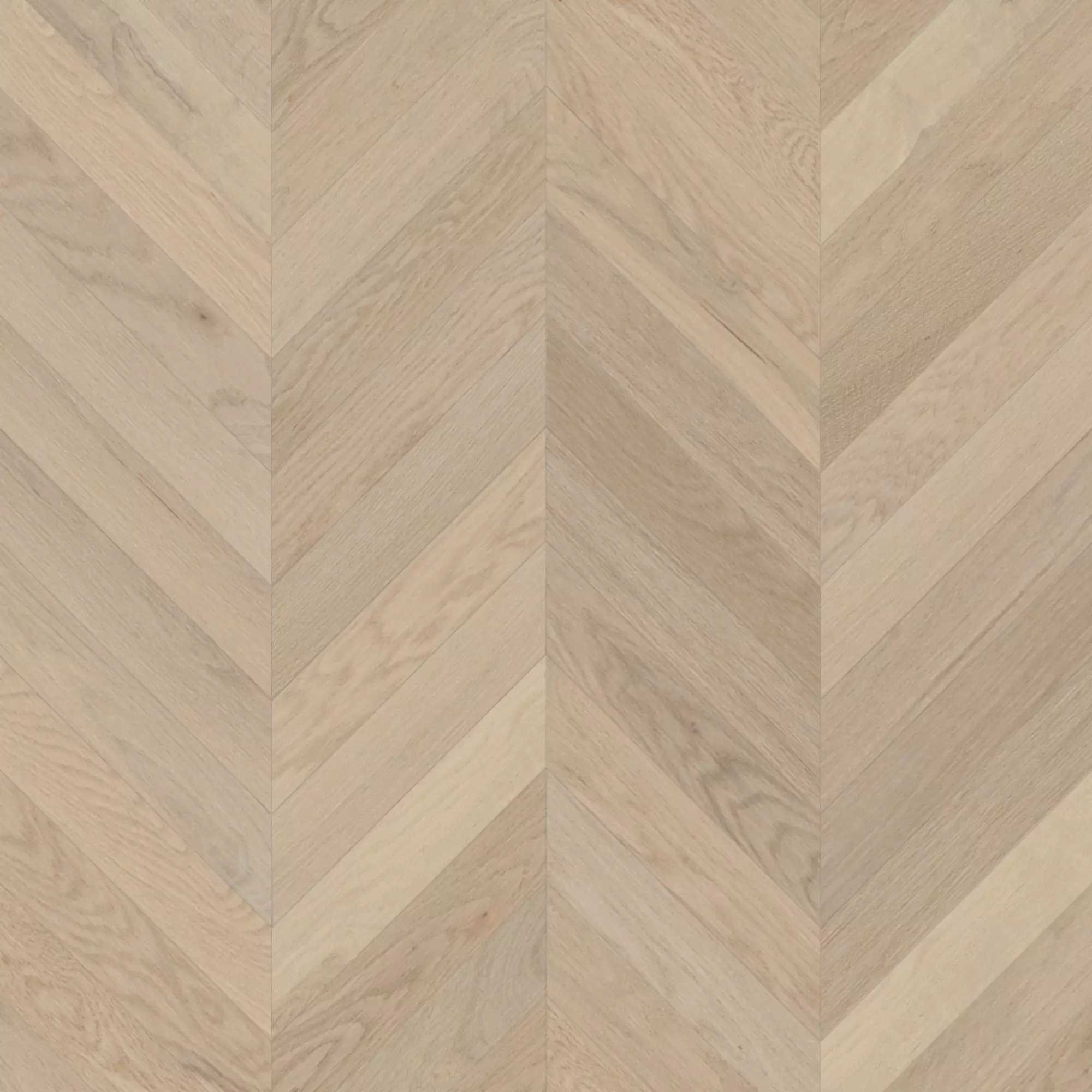 Mirage Muse White Oak Rachel - Chevron Exclusive