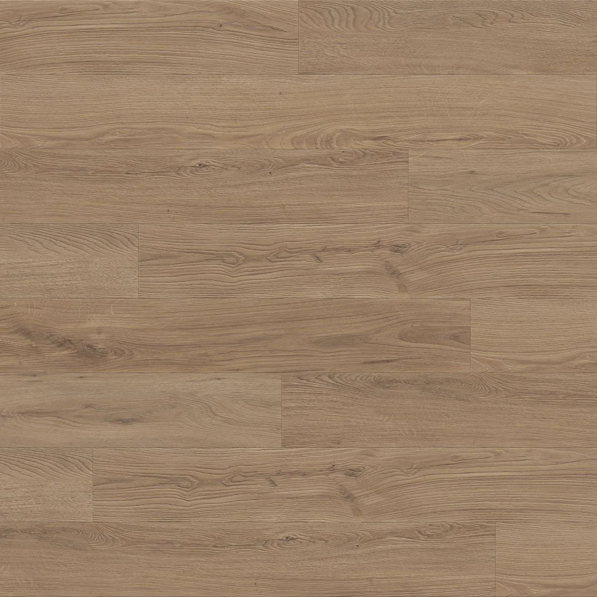 True Touch Evolv Earth Tone - Closeup