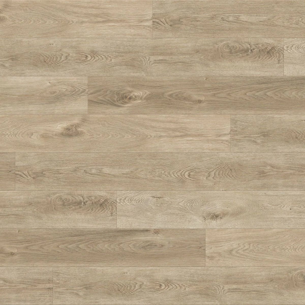 True Touch Momentum Stucco - Closeup