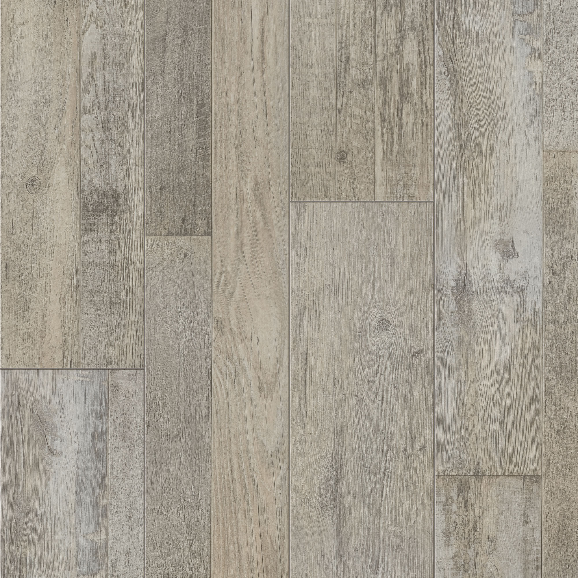 Biscotti Prato Signature swatch