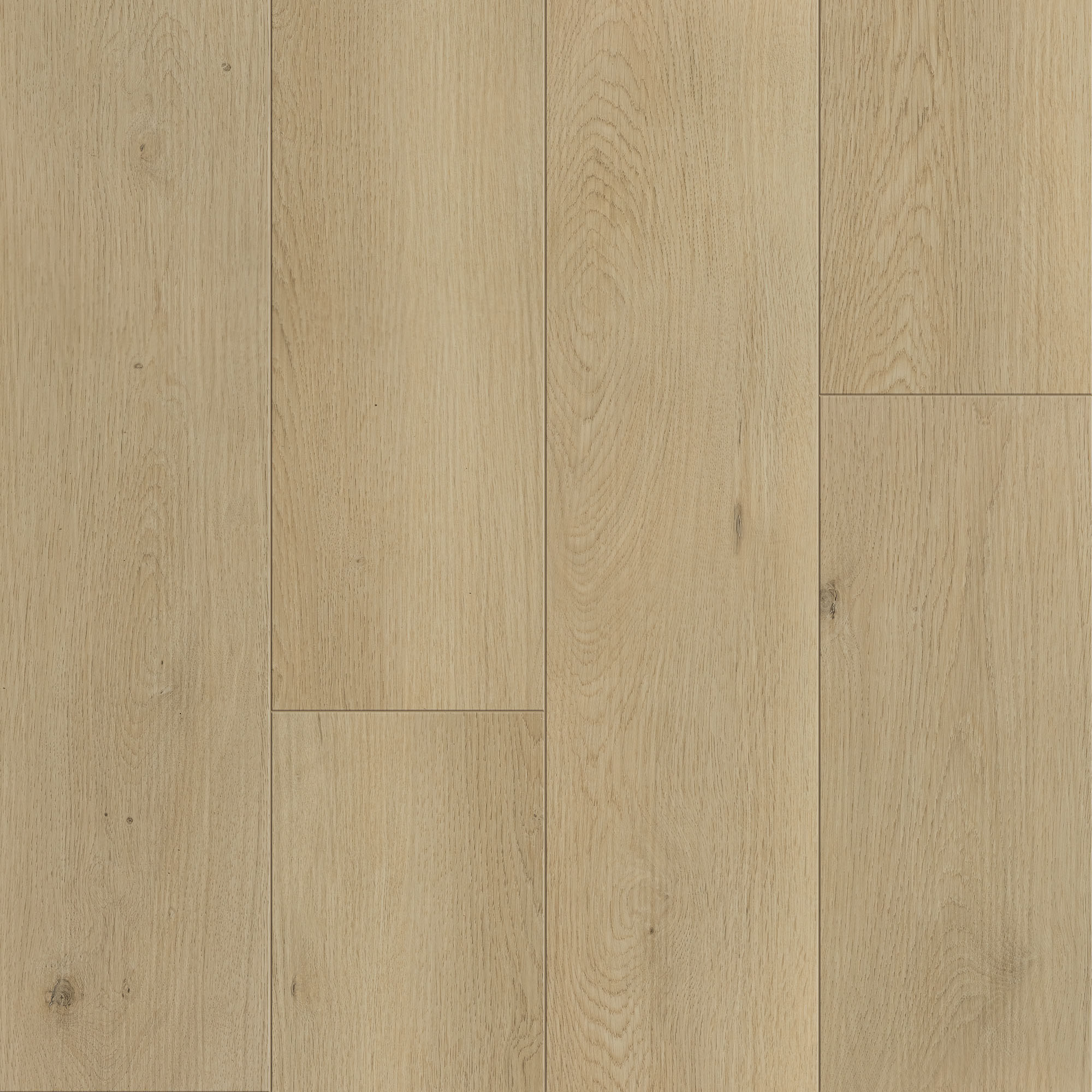 Boothbay Beige Signature swatch