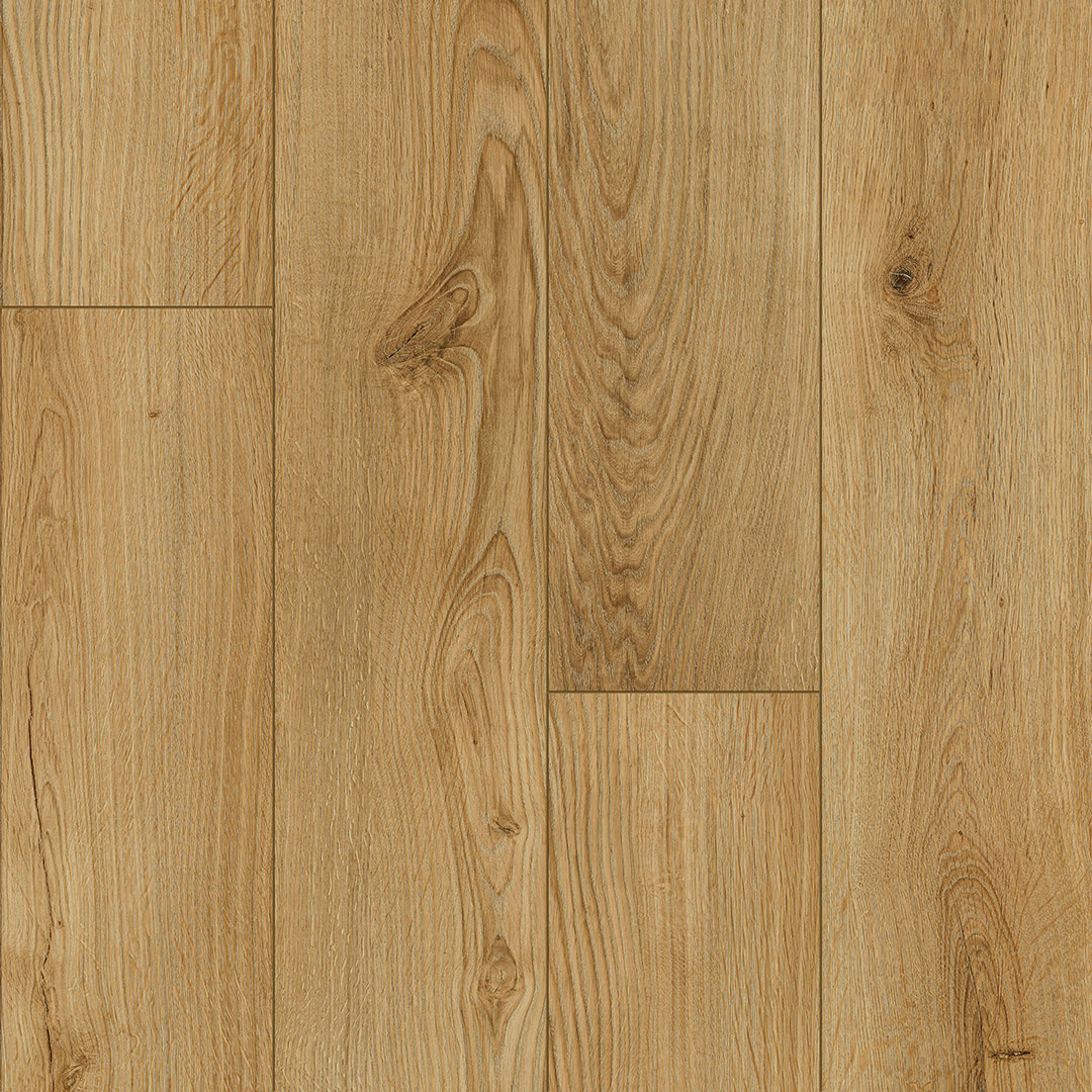 Congaree Signature swatch
