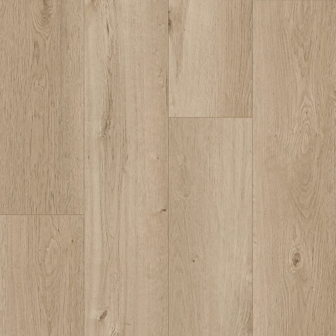 Dodger Point Signature swatch